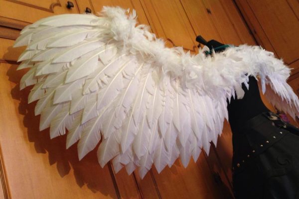 wings1