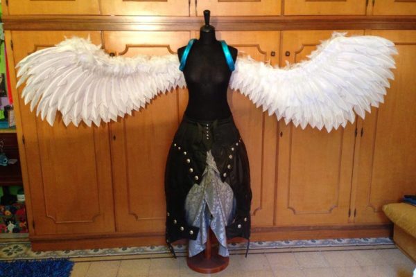 wings3