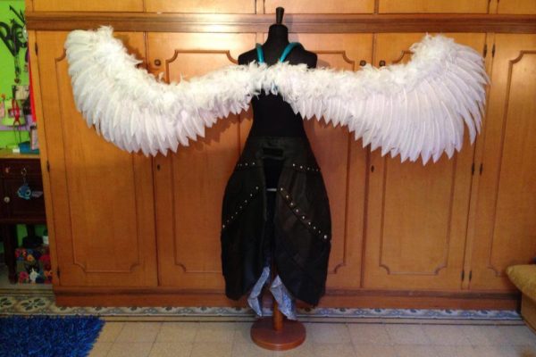 wings4