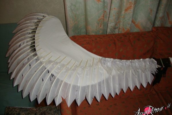 wings6