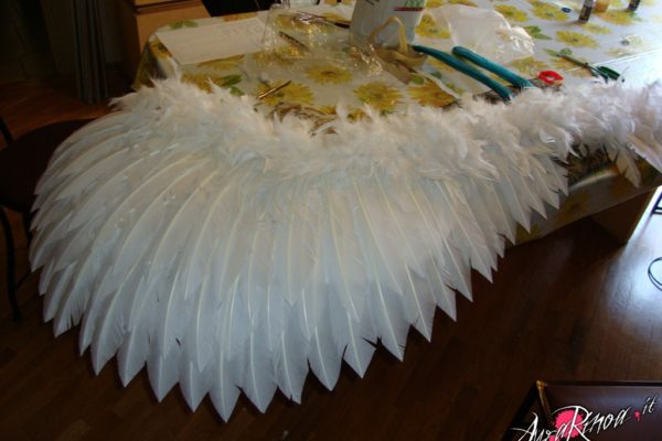 wings7